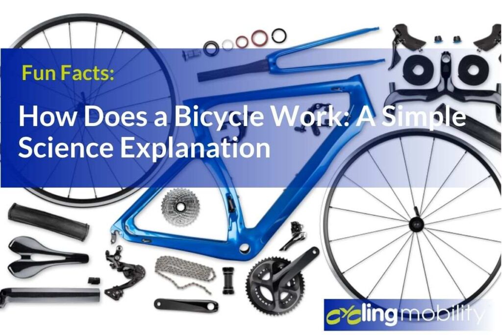 Cycling Benefits and Disadvantages: What to Know